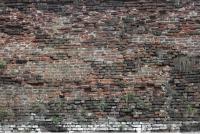 photo texture of wall brick overgrown 0003
